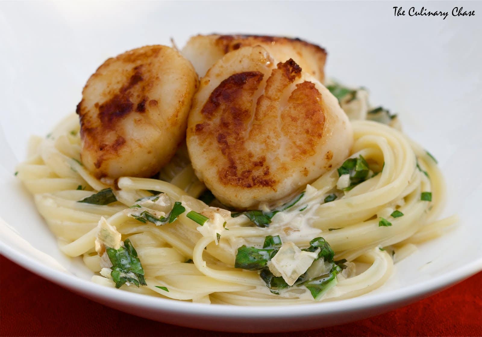 Linguine With Seared Scallops And Lemon Herb Cream Sauce The Culinary Chase 3637