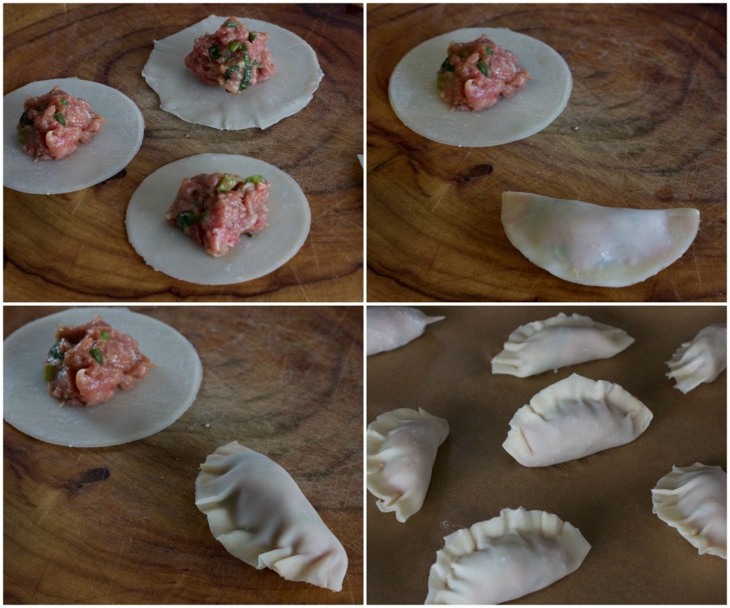 dumpling Collage