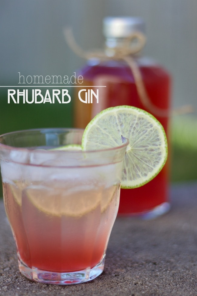 Homemade Rhubarb Gin A Delicious Cocktail Haligonia ca