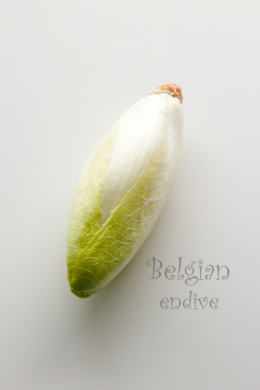 Belgian endive by The Culinary Chase