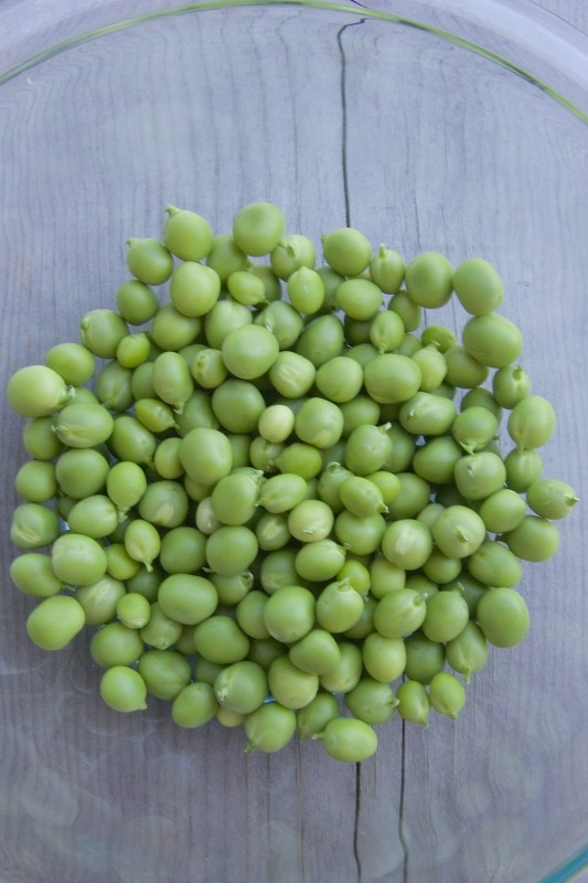 shelled peas