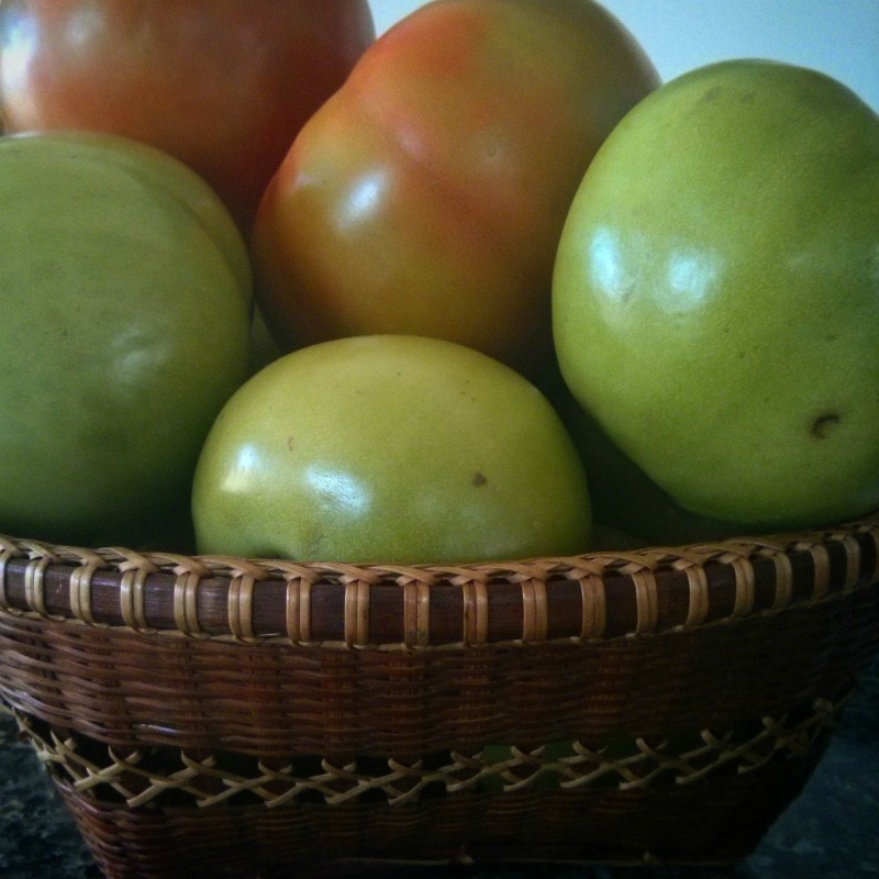 green tomatoes