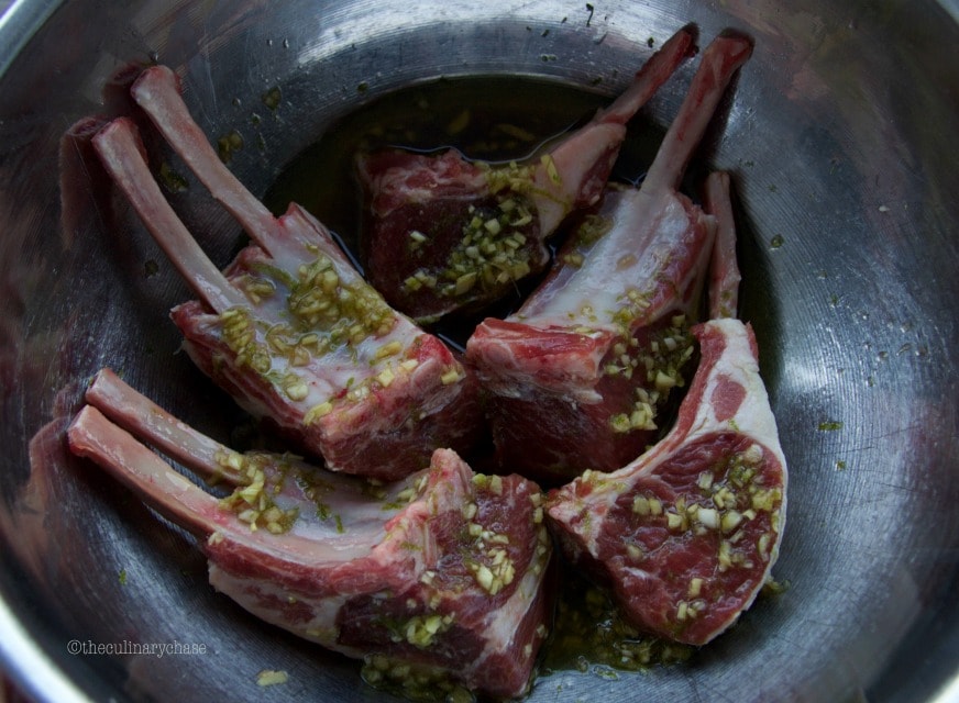 marinated lamb chops