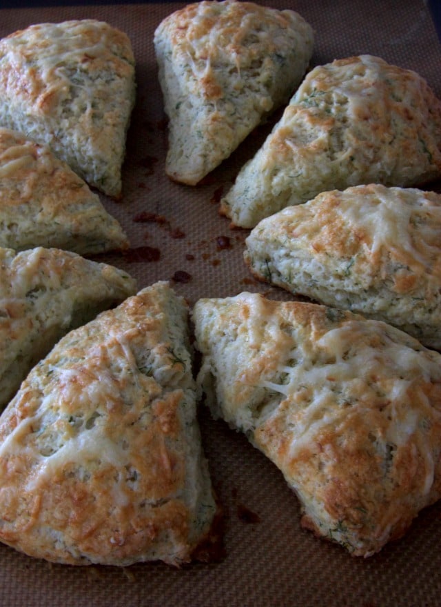 cheddar scones
