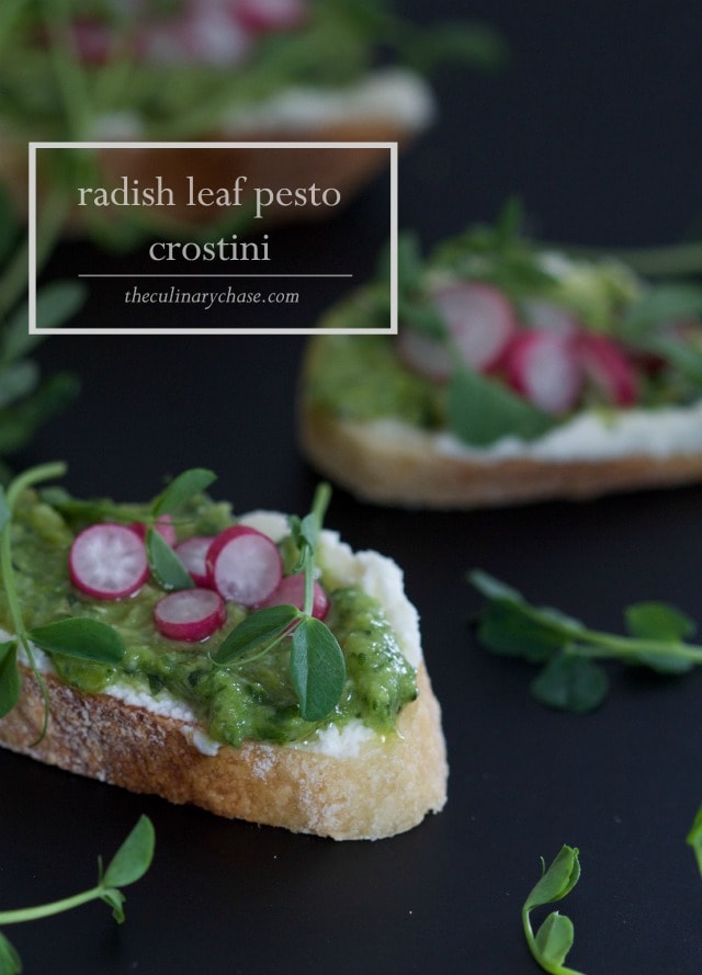 Radish Leaf Pesto Crostini