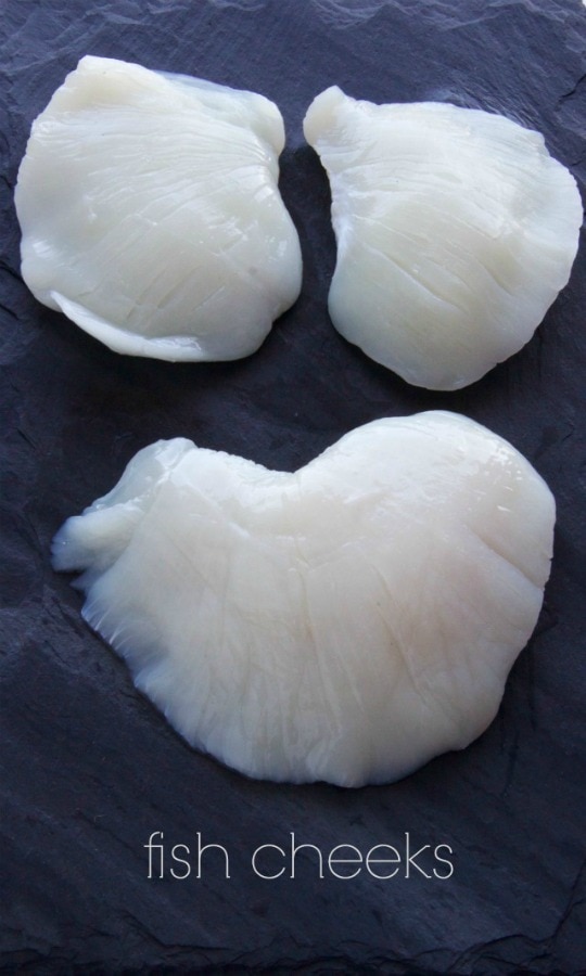 fish cheeks The Culinary Chase