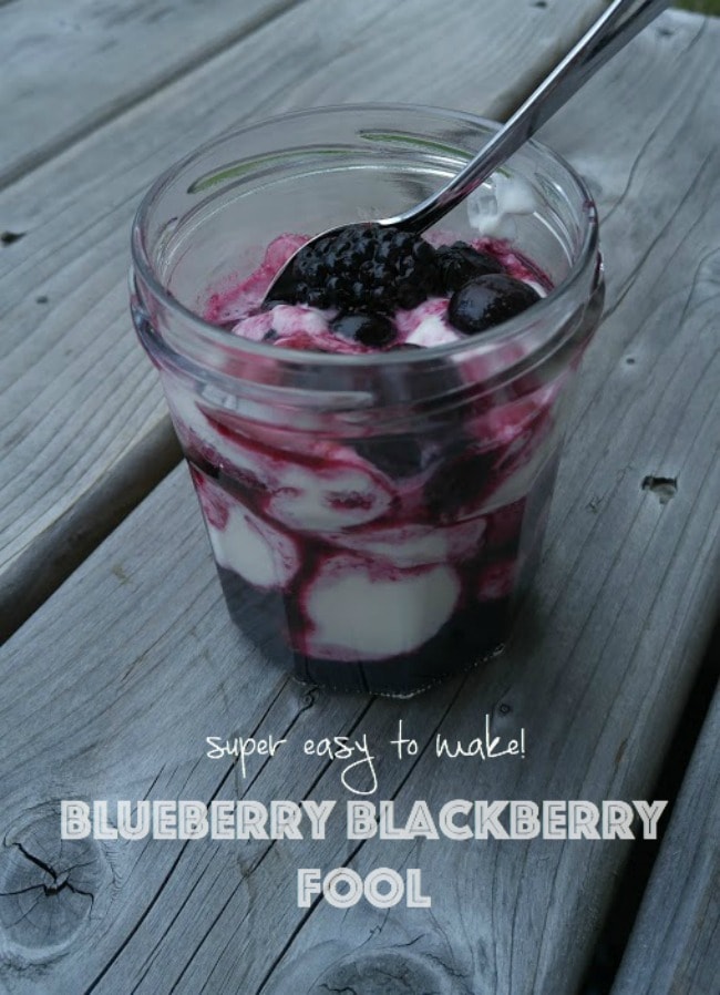 blueberry-blackberry fool