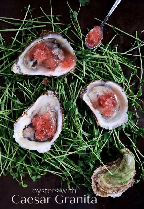 fresh oysters with Caesar granita