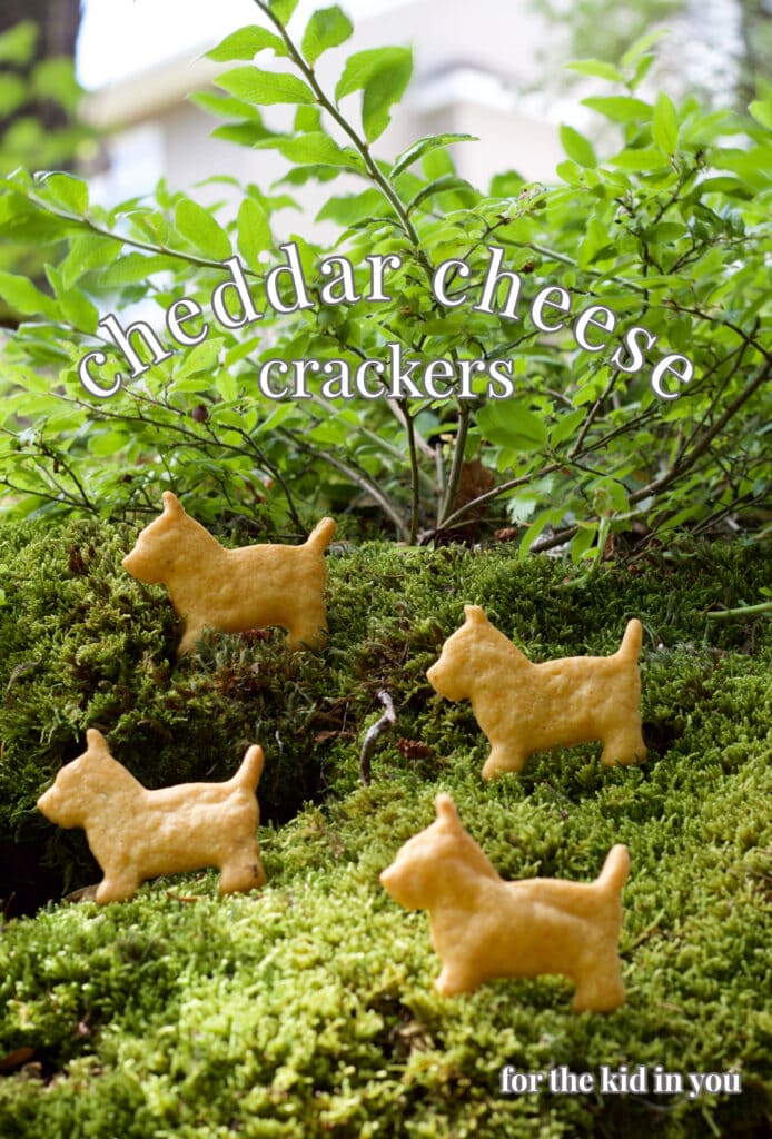 cheddar cheese crackers
