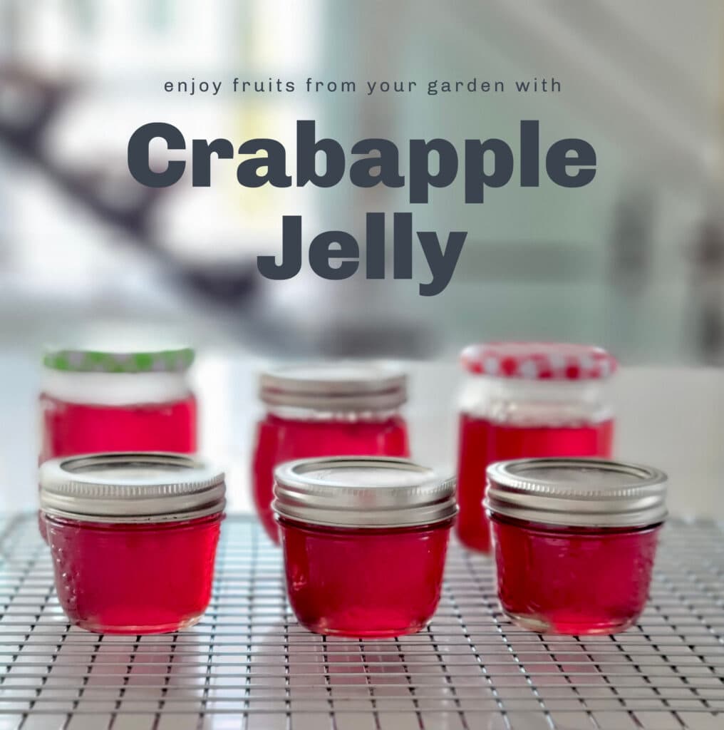 crabapple jelly