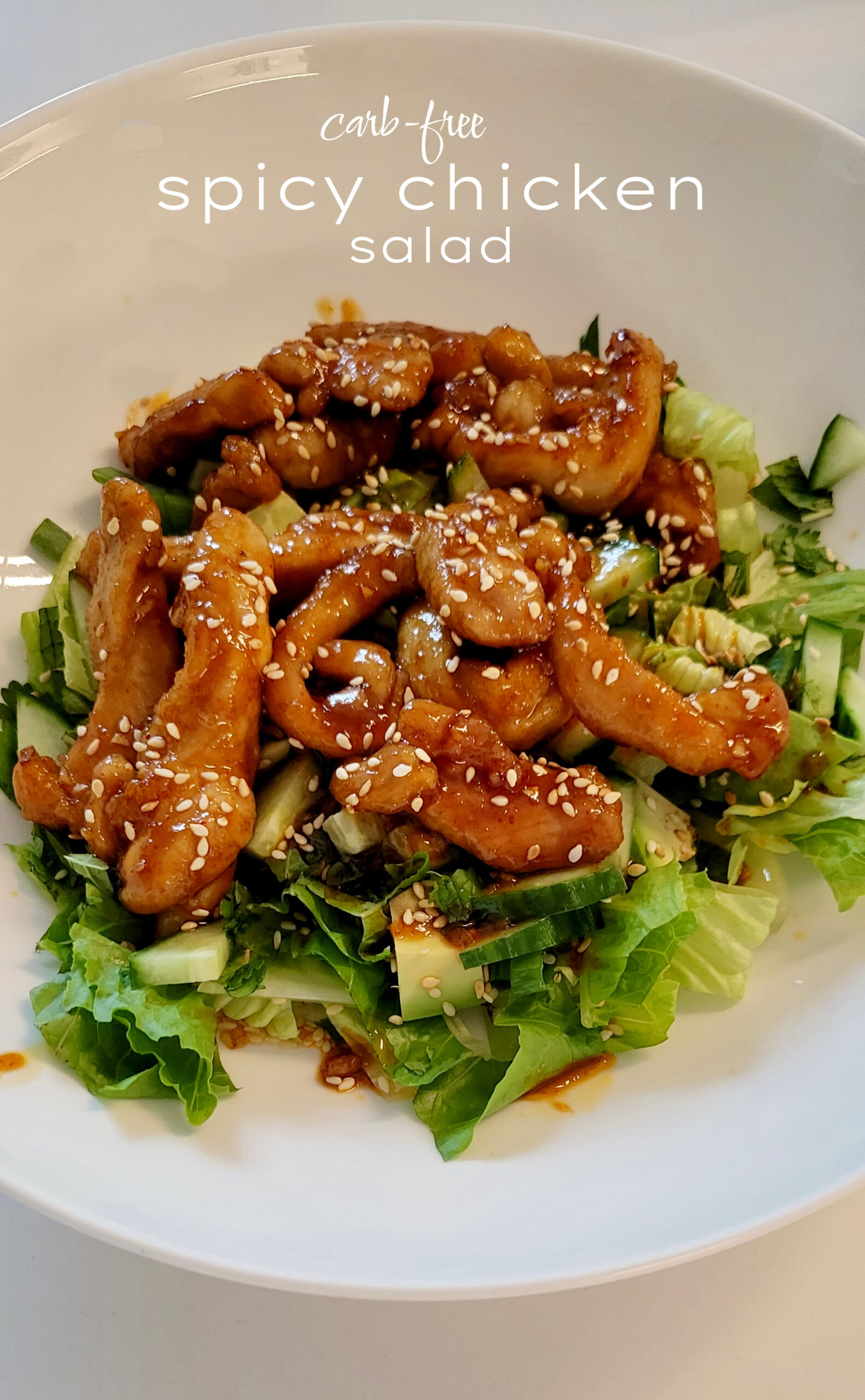 spicy chicken rice bowl (sans the rice) The Culinary Chase