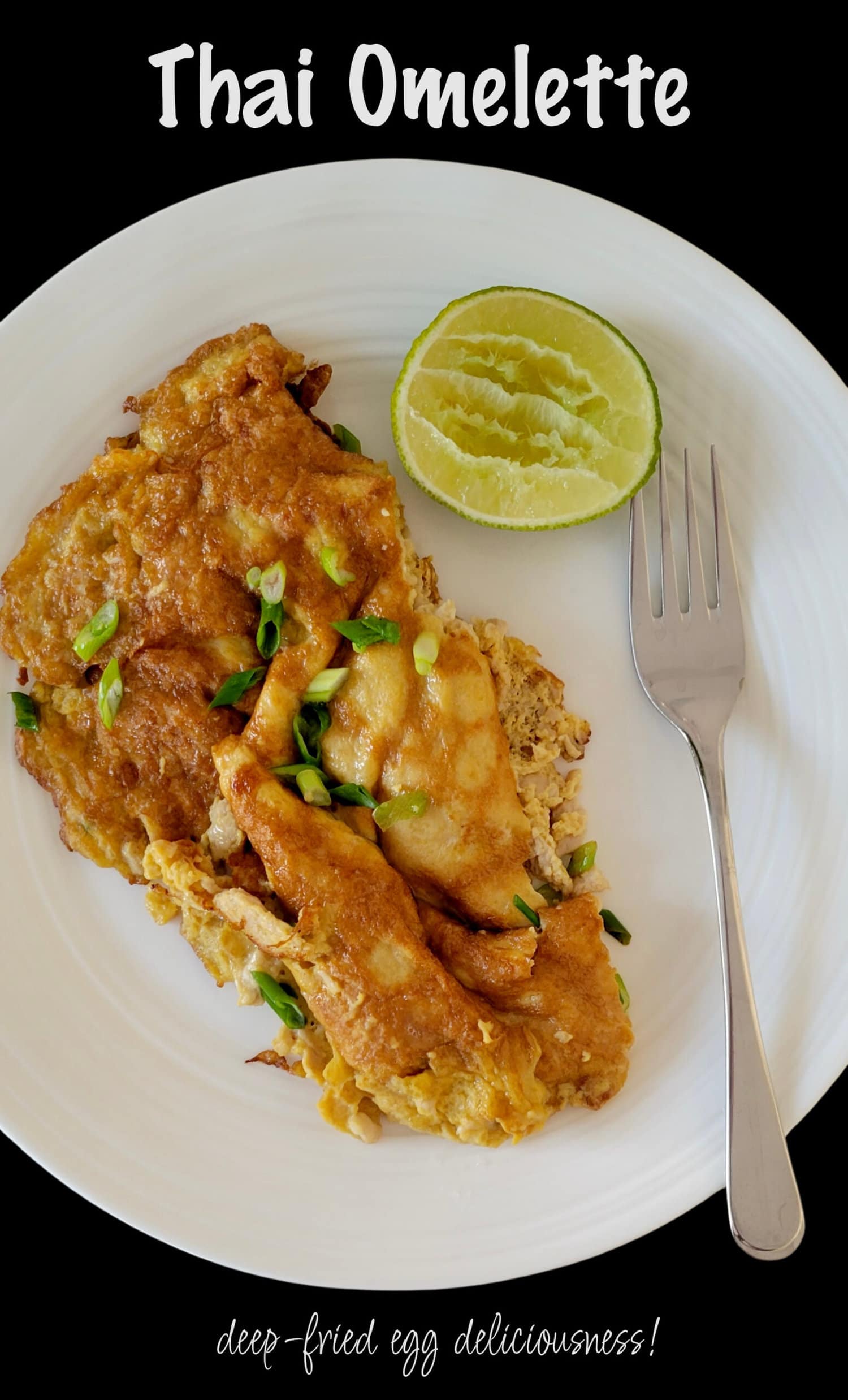 thai omelette with minced chicken The Culinary Chase