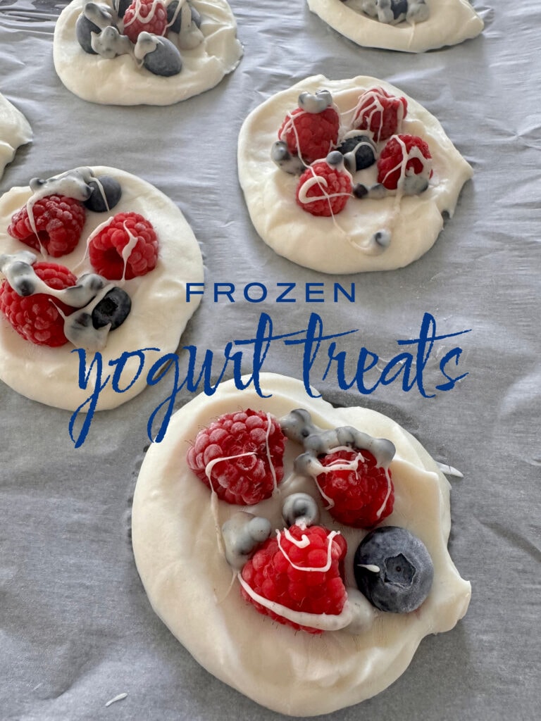 frozen yogurt treats