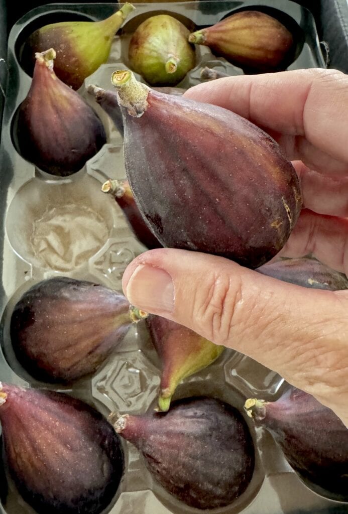 fresh figs